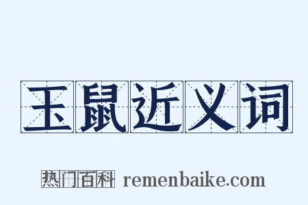 玉鼠近义词是什么意思的图片